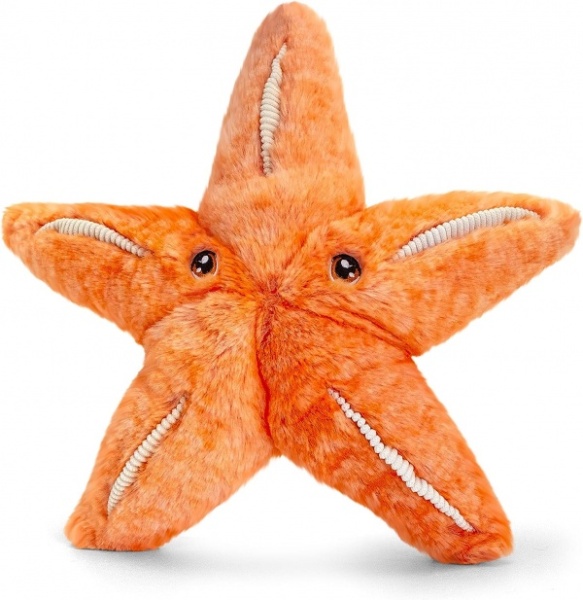KeelEco Starfish