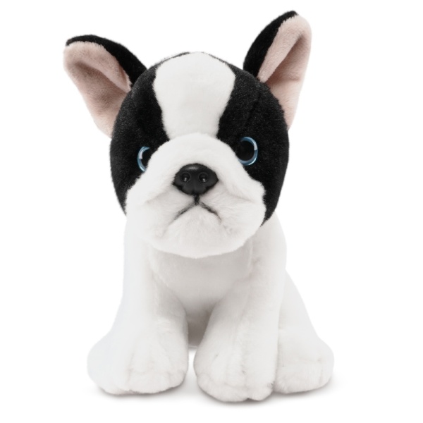 Living Nature French Bulldog Puppy Black and White