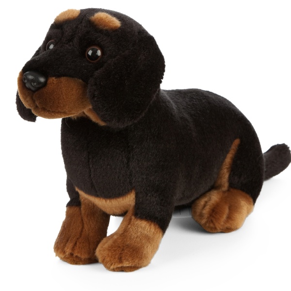 Living Nature Dachshund