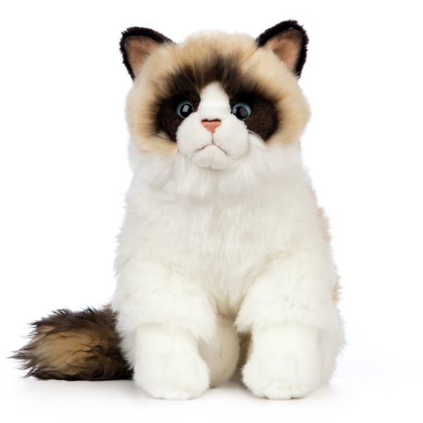 Living Nature Ragdoll Cat