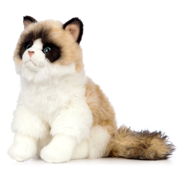 Living Nature Ragdoll Cat