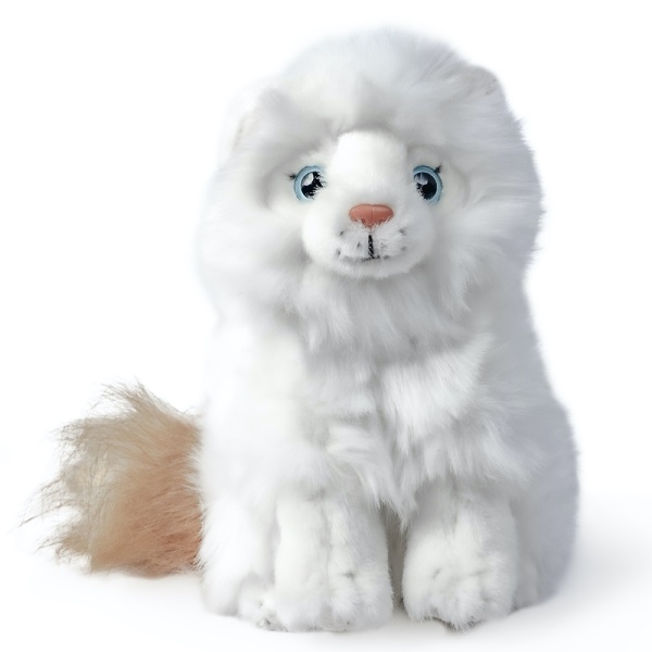 Living Nature Ragdoll Kitten