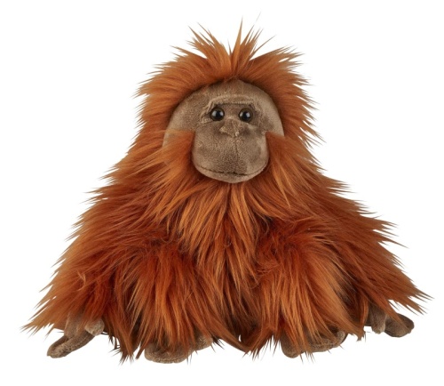 Suma Orangutan