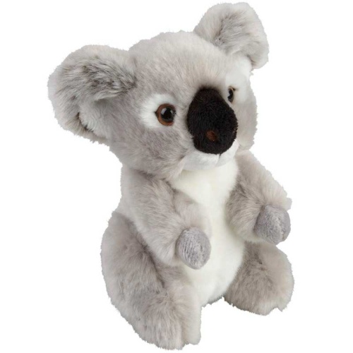 Suma Koala (Two Sizes)