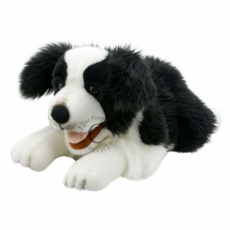 The  Puppet Company - Playful Puppies Border Collie