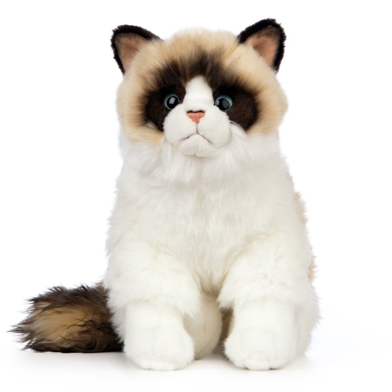 Living Nature Ragdoll Cat