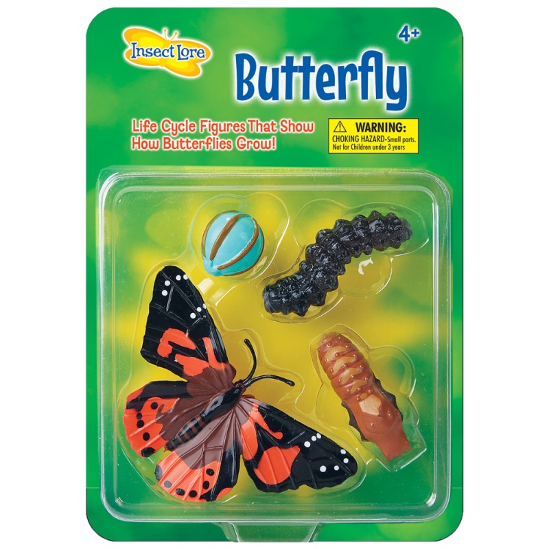Insect Lore Life Cycle Figurines - Butterfly - Daisy Daisy