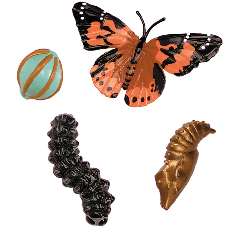 Insect Lore Life Cycle Figurines - Butterfly - Daisy Daisy