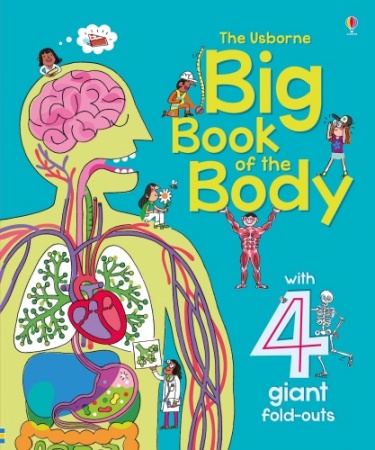 Usborne Big Book of the Body
