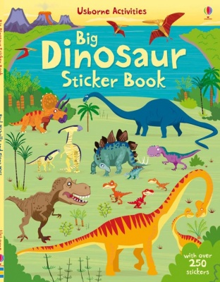 Usborne Sticker Book (Various Designs)