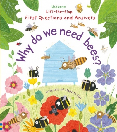 Usborne Lift-The-Flap First Questions and Answers Book (Various Designs)