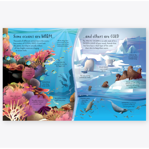 Usborne See Inside Oceans (Hardback Book)